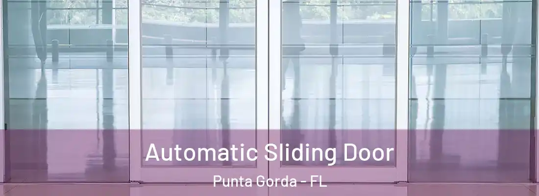 Automatic Sliding Door Punta Gorda - FL