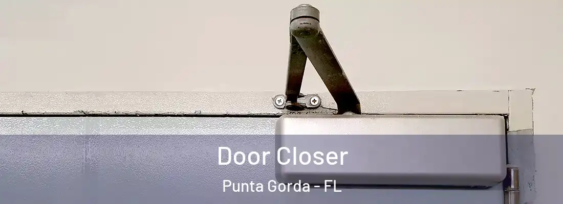  Door Closer Punta Gorda - FL