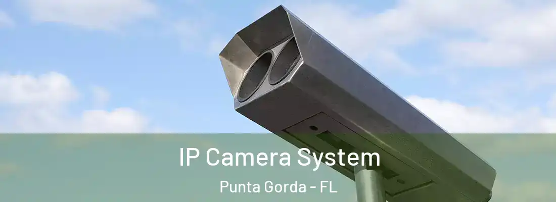  IP Camera System Punta Gorda - FL