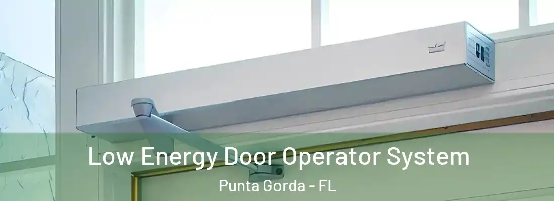  Low Energy Door Operator System Punta Gorda - FL