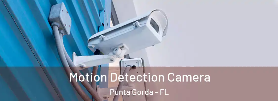  Motion Detection Camera Punta Gorda - FL