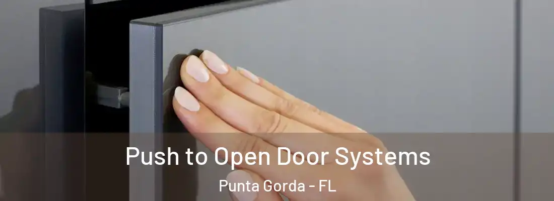  Push to Open Door Systems Punta Gorda - FL